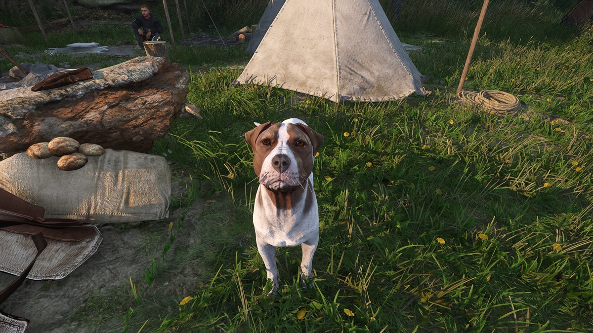 A picture of a dog from Kingdom Come: Deliverance 2.