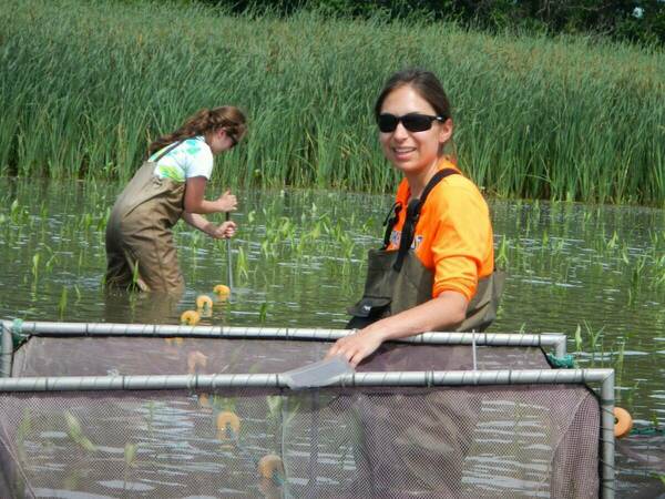 GLOBES field work