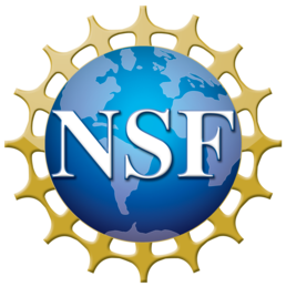 Nsf 4 Color Bitmap Logo